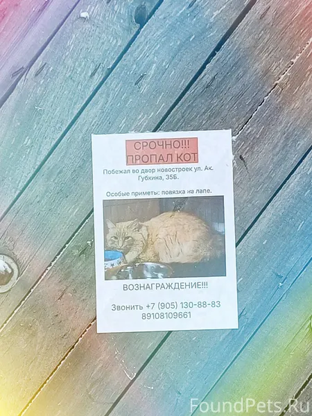 🌲🐼🕉 Ом Пашупатайе Намаха 🕉🐶🐱🌻 ...