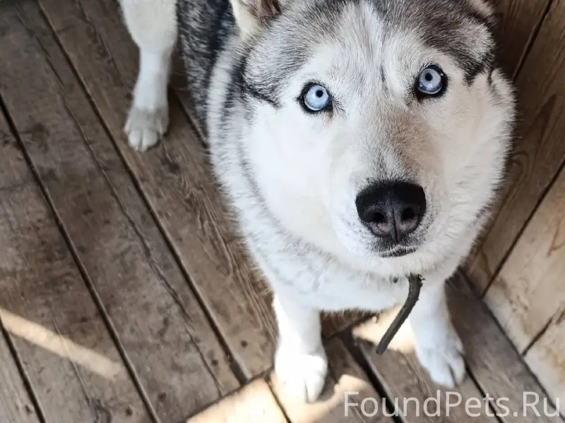 Помогите найти, пожалуйста. По...
