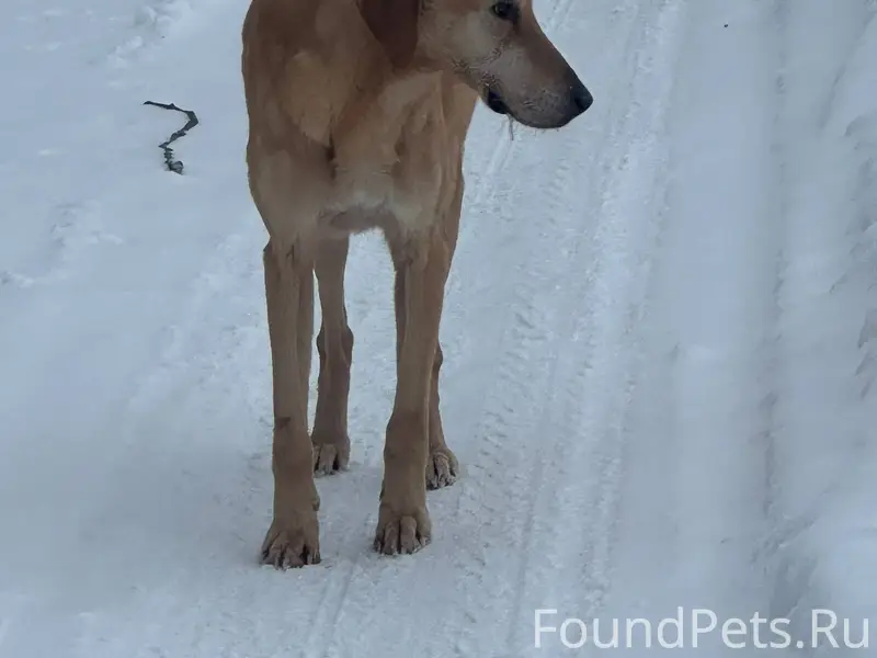 Г. Егорьевск. Прямо за городом...