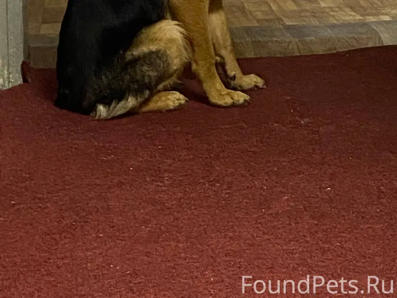 18 января из садоводства Им. В...