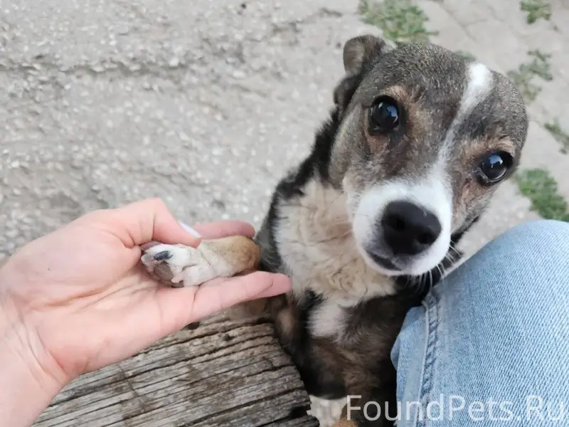 Вчера во время взрывов пропала...