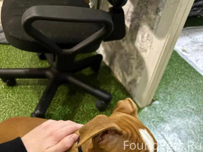 Вчера в промзоне потерялась со...