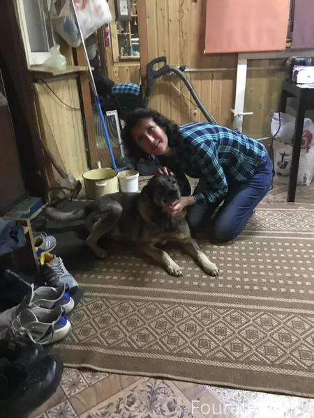 Пропала собака район псков кир...