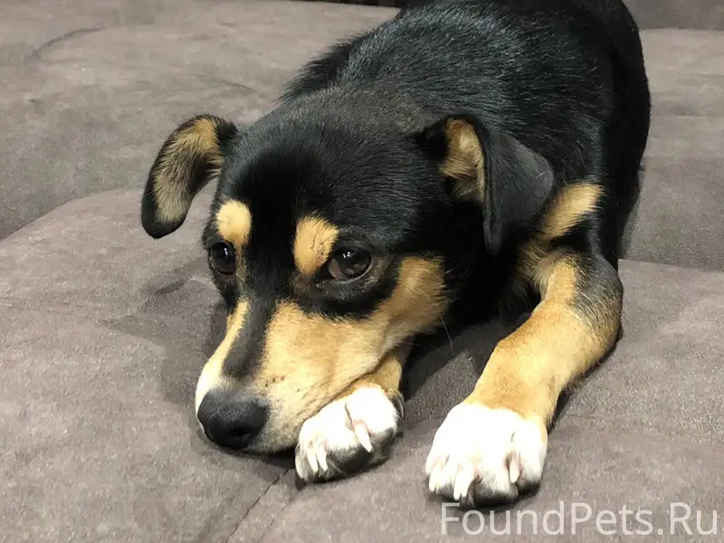 Максимальный репост пожалуйста...