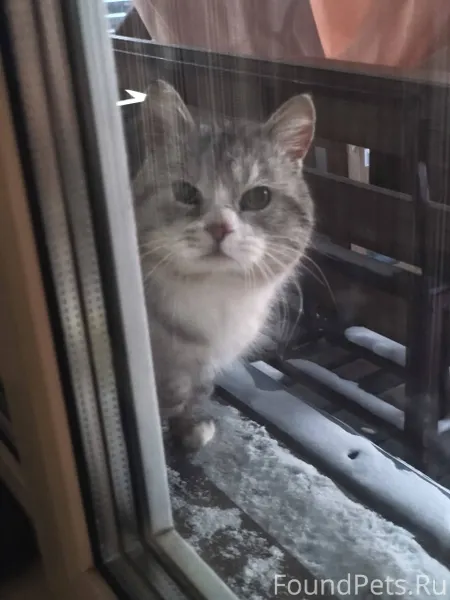 Всем здравствуйте! Особенно те...