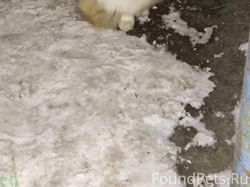 Срочно.‼️‼️ Карла Маркса 113а ...