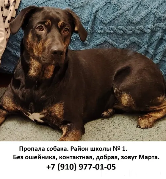 Добрый вечер. Сегодня, 21 янва...