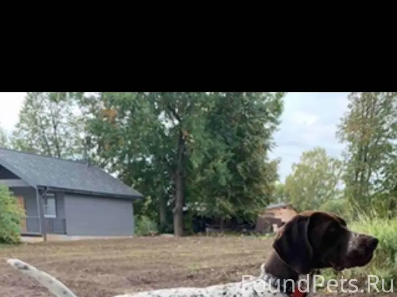 Сегодня днём в деревне Якутино...