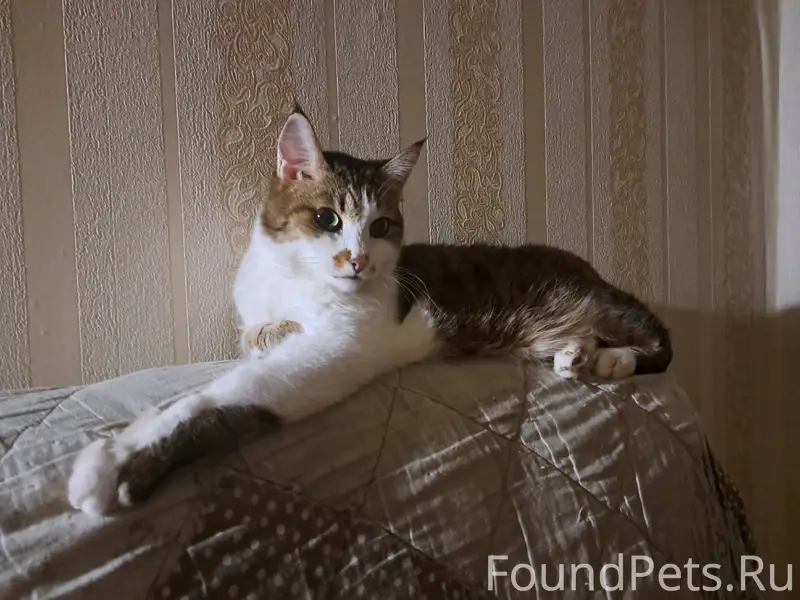 📍ул. Высоцкого 36/1, Октябрьск...