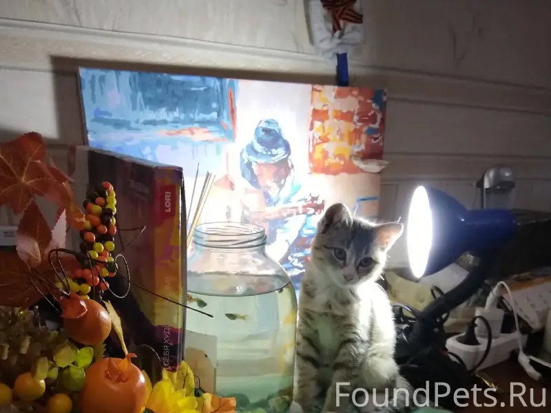 16 Янв. 2026 г.днем пропал...