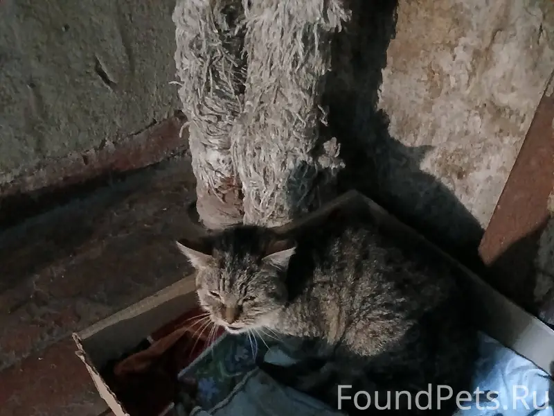 #Сокол Менделеева улица, район...