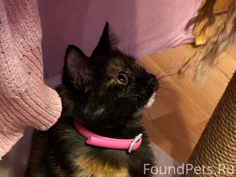 Сидела в подъезде на Ленинград...