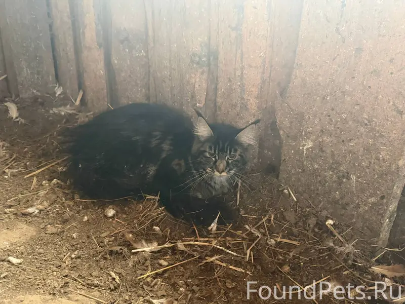 Срочно ❗️ Люди нашли на улице....