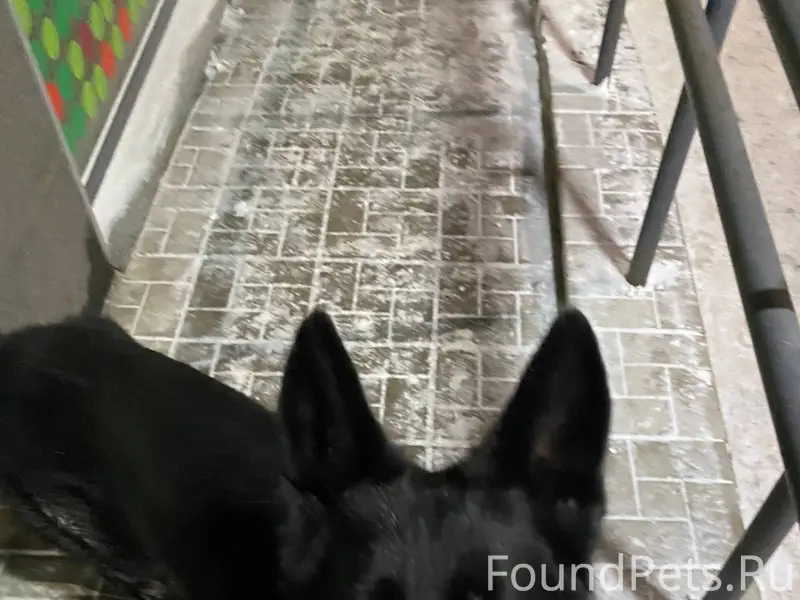 ЗАМЕЧЕН! ПЕТРОЗАВОДСК https://...