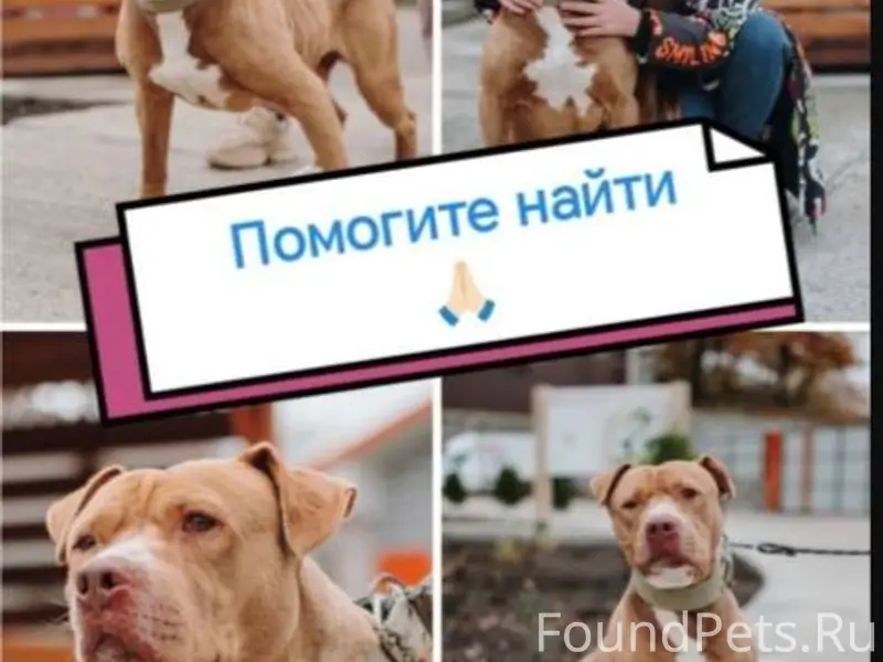 Здравствуйте ! Обращаюсь с про...