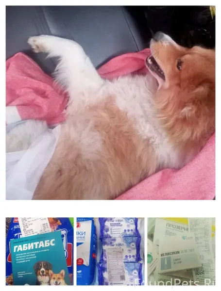 ‼️Серов, 16-го числа, утром, г...