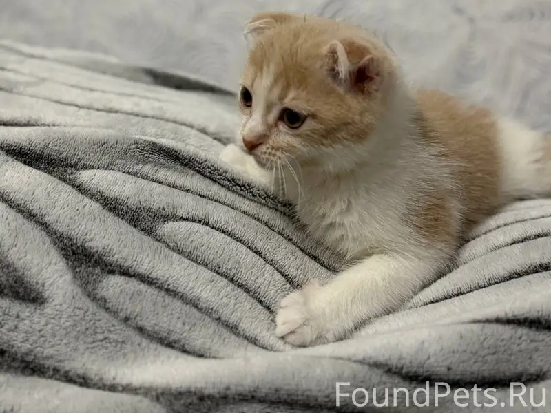 Здравствуйте,пожалуйста помоги...