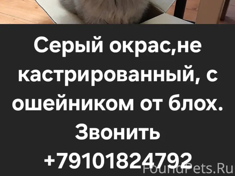 Опубликуйте пожалуйста. Пропал...