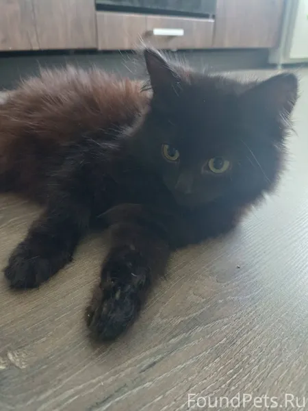 Вчера вечером по ул.малиновска...