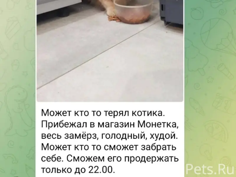 Компрессорный!!! Найден замёрз...