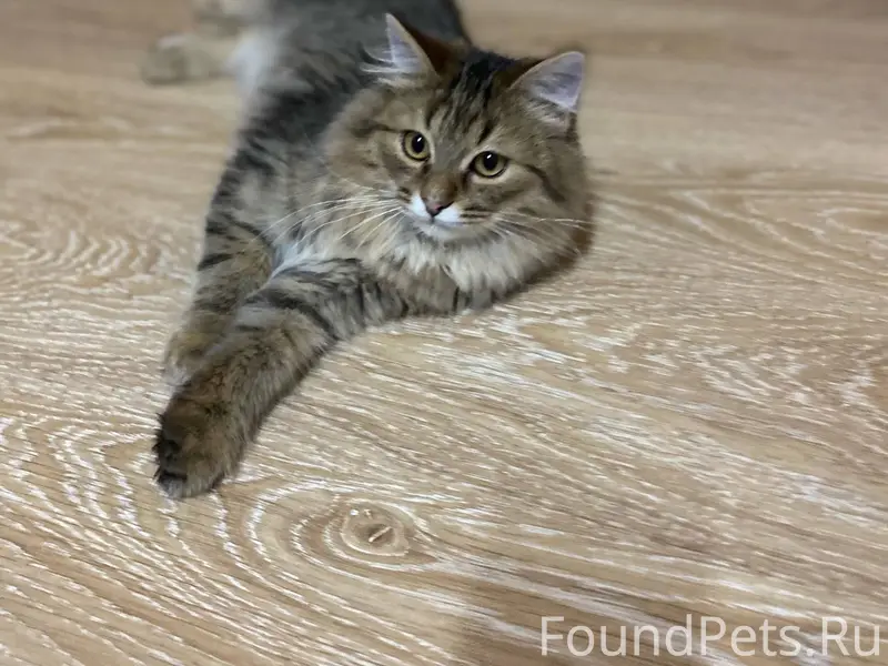 Друзья! ♥️♥️♥️ У нас Хорошая н...