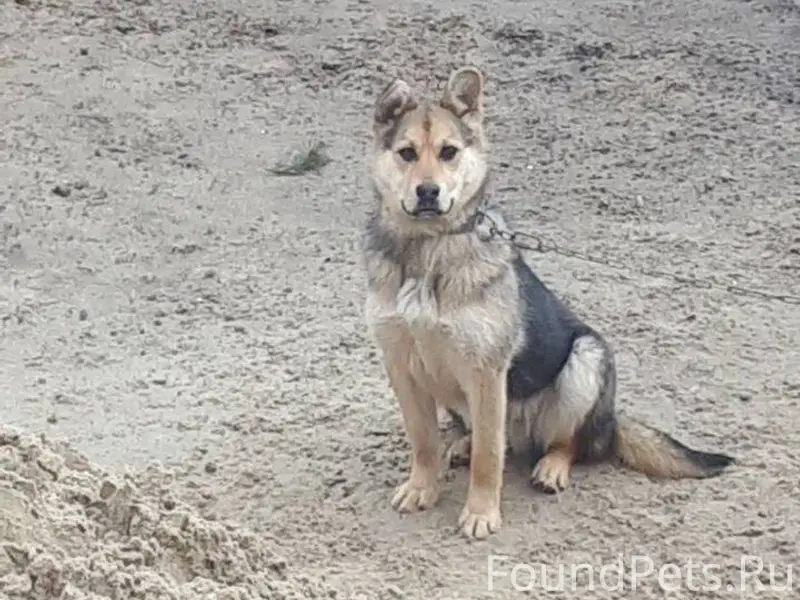 21 января п Боровский с ул...