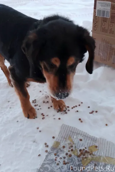 Чье чудо потерянно, либо опять...