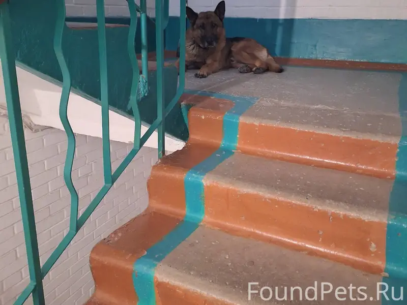 Здравствуйте, в подъезде сидит...