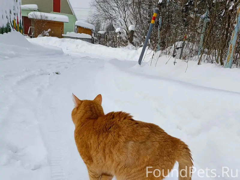 18.01.2025 на территории Климо...