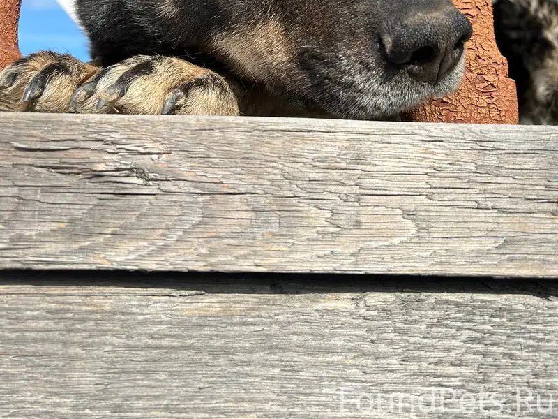 Здравствуйте! В понедельник с ...