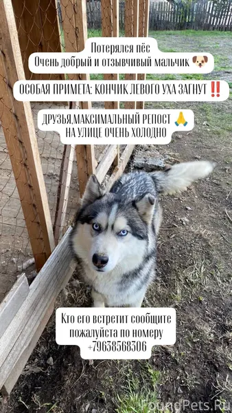 Дегтярск. Сегодня, вечером пот...