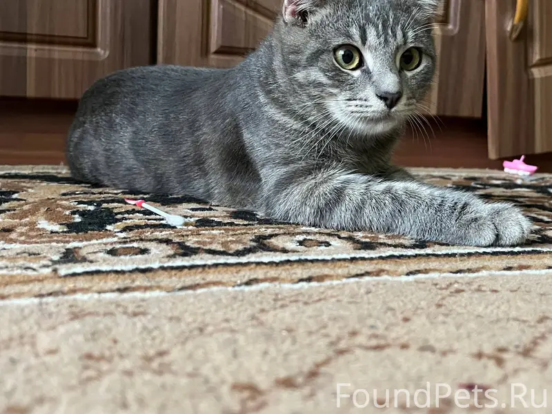 На руднике, в районе магазина ...