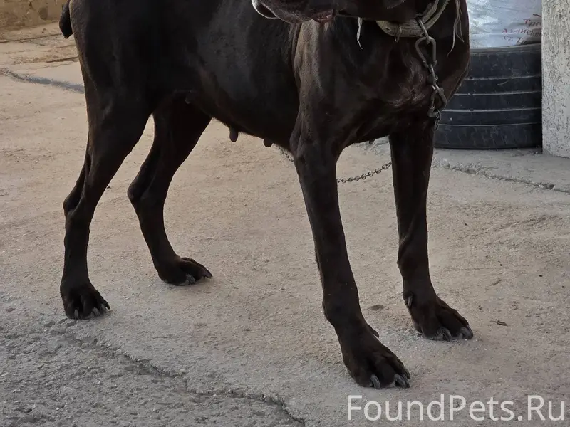 Добрый вечер.Помогите пожалуйс...