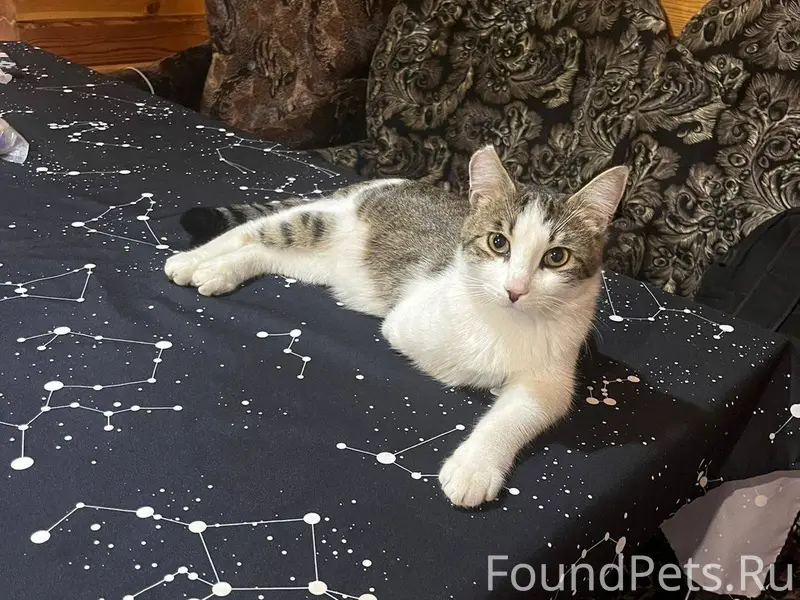 22.01.2026 В Кулебаках убежал....