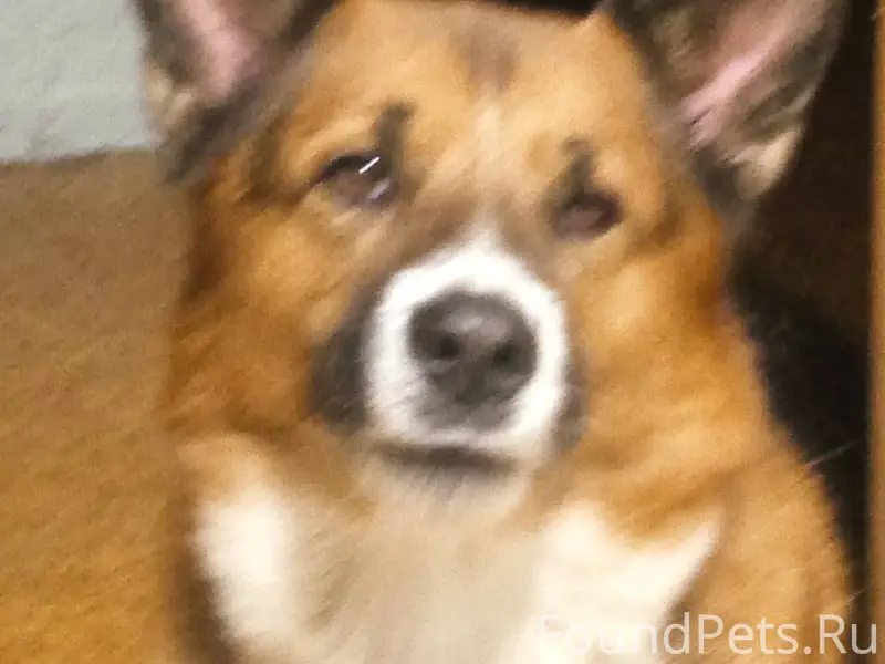 Помогите найти друга, члена се...