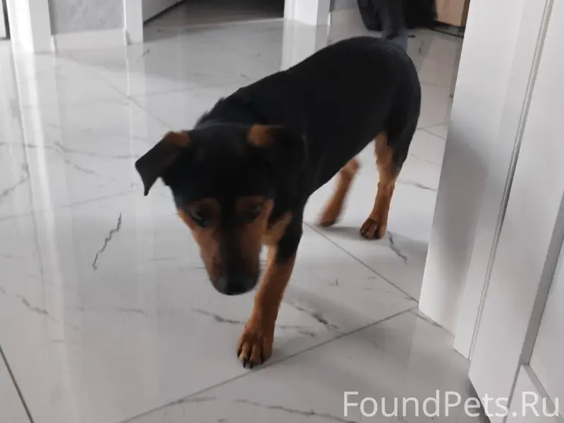 Г. Темрюк правобережный район ...