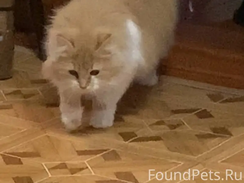 Помогите, пожалуйста, найти ко...