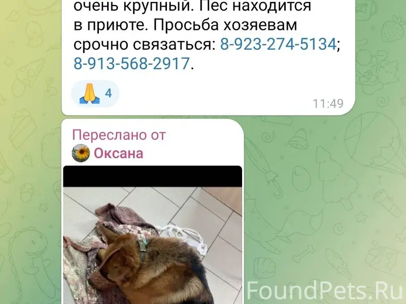 Кто потерял собака с ошейником...