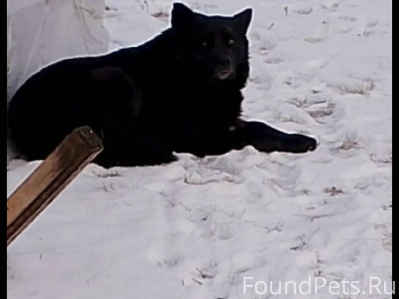 Всем доброго дня, уважаемые жи...