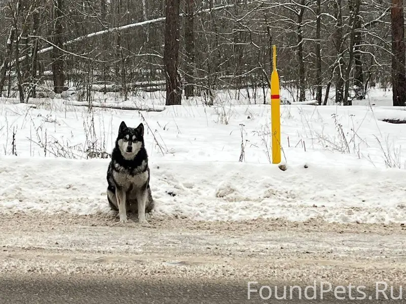 ‼️🆘Прислала водитель проезжающ...