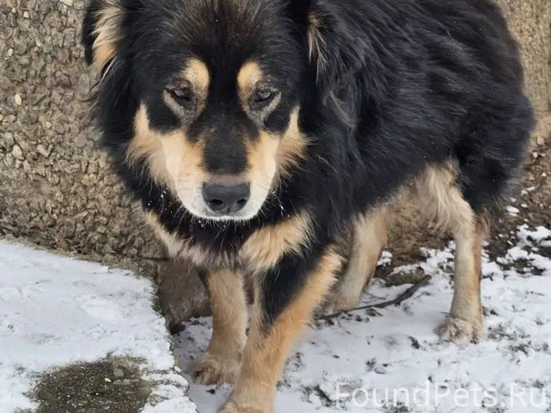 Воронеж!!🔥🔥🔥 В Придонском появ...