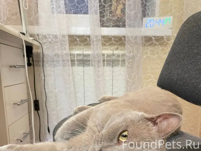 Друзья, соседи, добрые люди! Н...