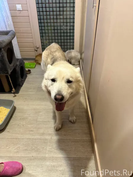 #Калуга Здравствуйте помогите ...