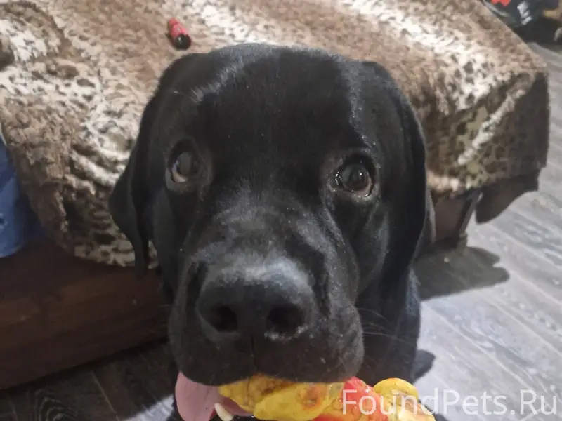 Друзья! ‼️Сделайте пожалуйста ...