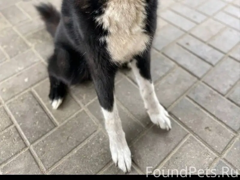 Здравствуйте! 29 декабря 2025 ...