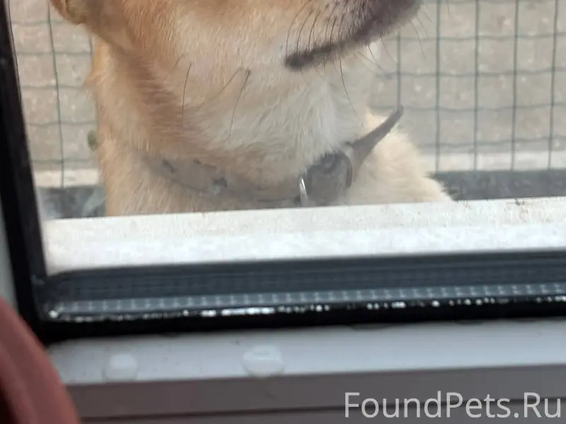 Всем здравствуйте! Пропала соб...