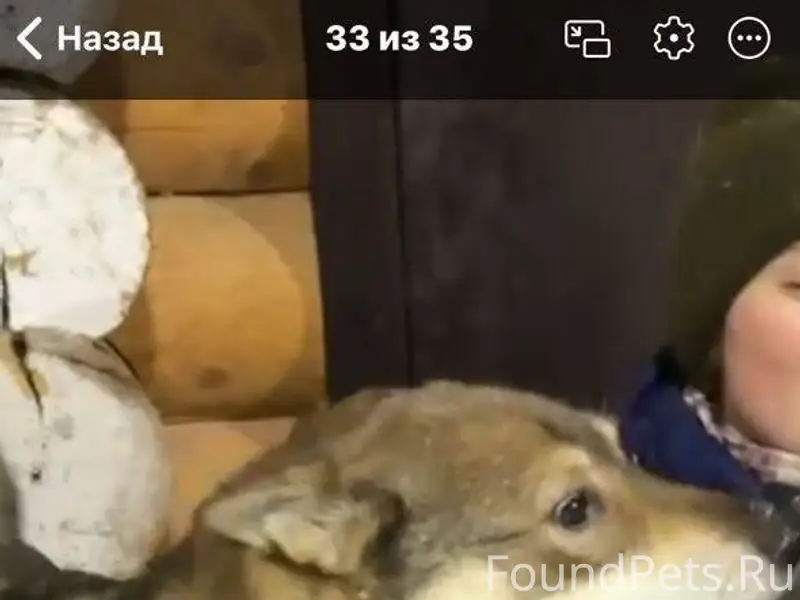 🆘 Очень нужна ваша помощь! Про...