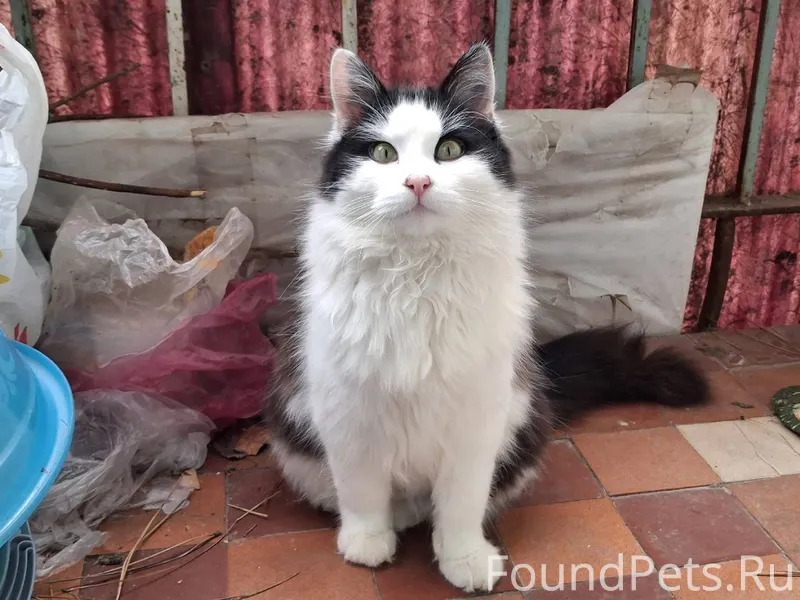 19 декабря 2025 года найден мо...