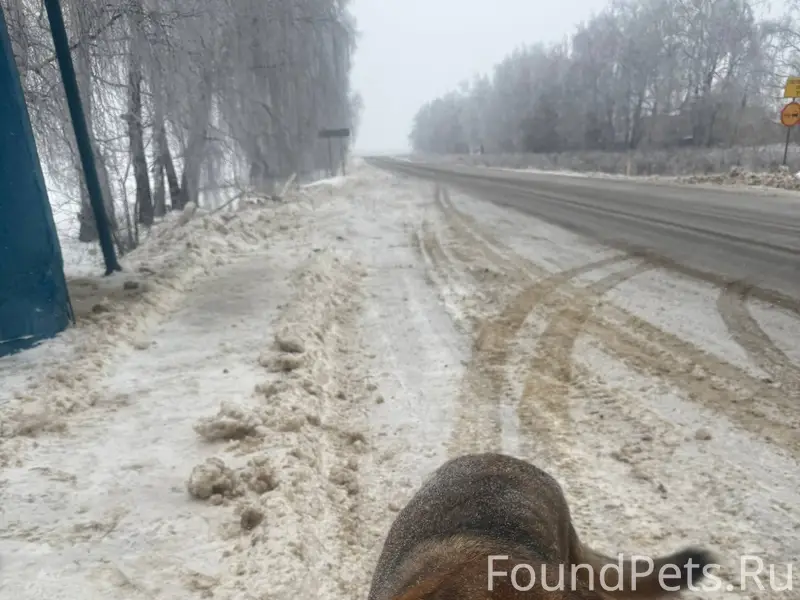 23.01.26 🆘✅🆘✅🆘✅🆘✅🆘✅🆘✅🆘✅ ЧЬЯ???...