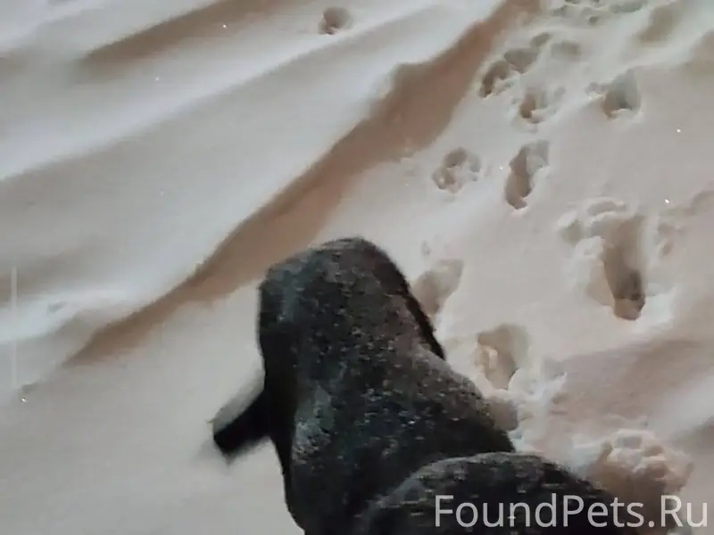 Сегодня вечером в поле, возле ...